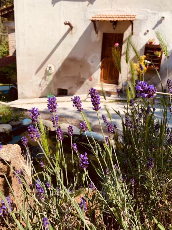 B&B Paradiso Filey Ngoại thất bức ảnh